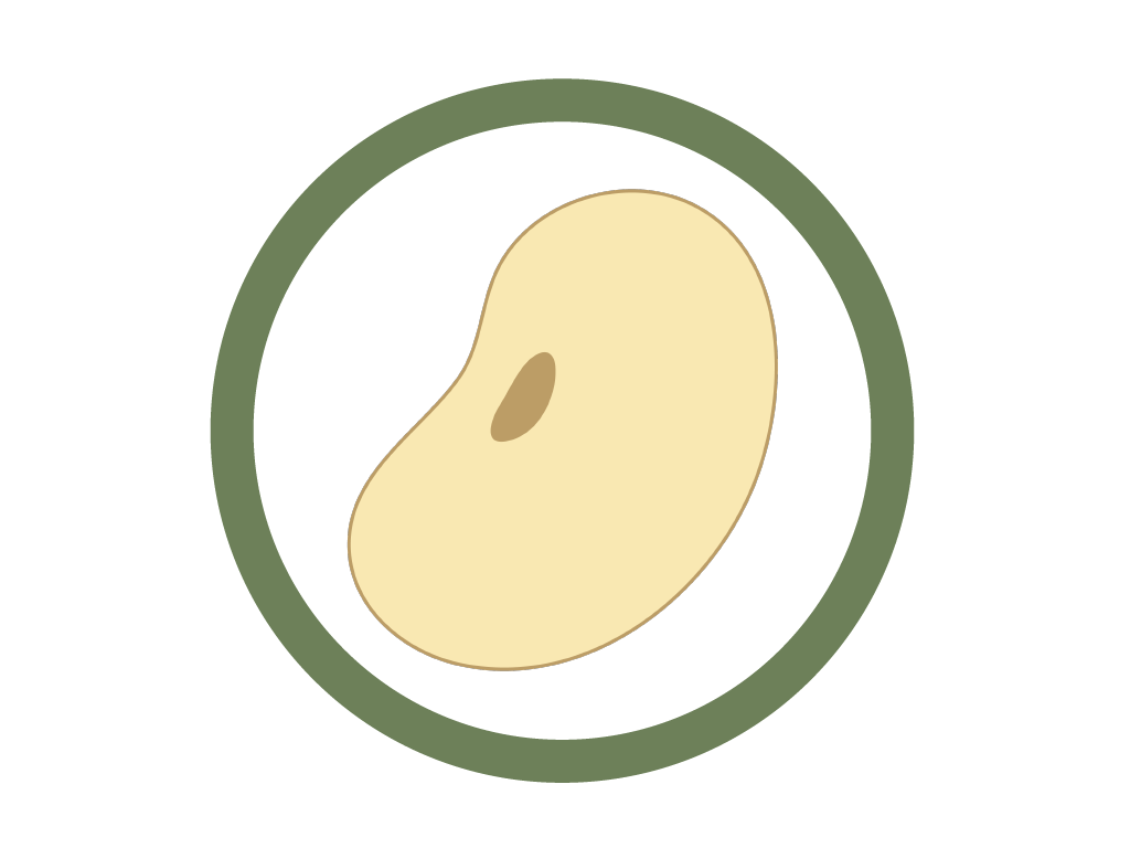 大豆を使用しています。